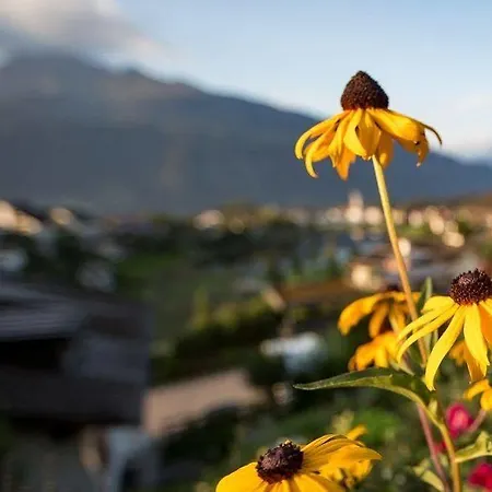 Bellaval Laax